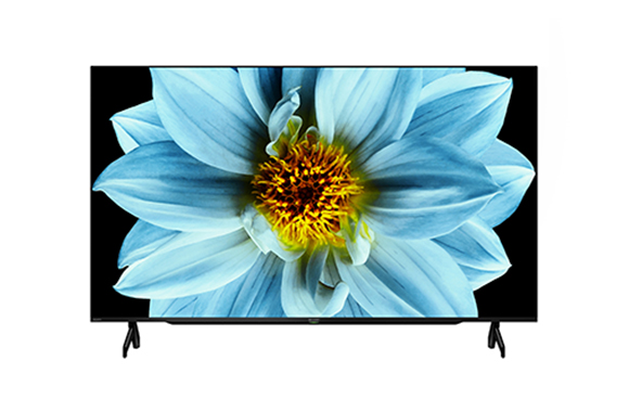 AQUOS 50 Inch Full HD Google TV - 2TC50EG1X | SHARP Malaysia